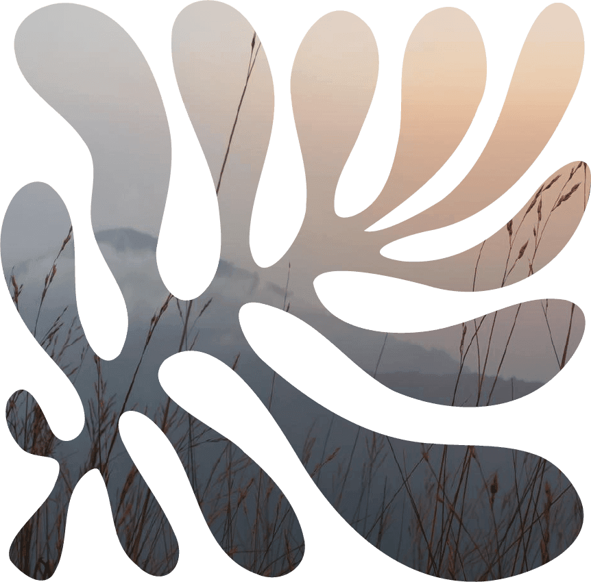 Hunter Valley creative branding and web design – Indigo Peak
